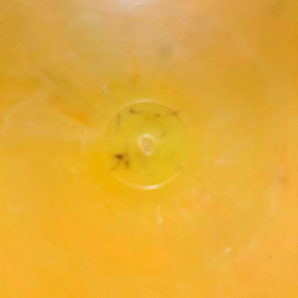 Innova Paul McBeth Grand Slam Yellow Penned ⭐️ DS Star Destroyer Disc Golf Disc - Picture 8 of 11